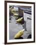 Mooring Buoys at the Center for Wooden Boats, Seattle, Washington, USA-Merrill Images-Framed Photographic Print