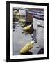 Mooring Buoys at the Center for Wooden Boats, Seattle, Washington, USA-Merrill Images-Framed Photographic Print