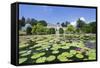 Moorish Garden-Markus Lange-Framed Stretched Canvas