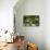 Moorlake, popular tourist cafe at the Havel River, Berlin, Germany-null-Mounted Art Print displayed on a wall