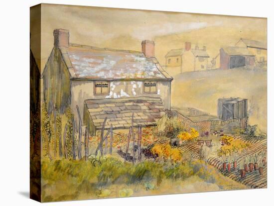 Moorland Cottage-Joan Thewsey-Stretched Canvas