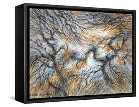 Moorland Larches, Yorkshire, c.1983-Isabel Alexander-Framed Stretched Canvas