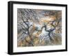 Moorland Larches, Yorkshire, c.1983-Isabel Alexander-Framed Giclee Print