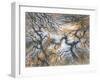 Moorland Larches, Yorkshire, c.1983-Isabel Alexander-Framed Giclee Print