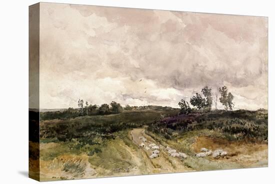 Moorland Scene, 1878-Thomas Collier-Stretched Canvas