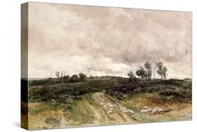 Moorland Scene, 1878-Thomas Collier-Stretched Canvas