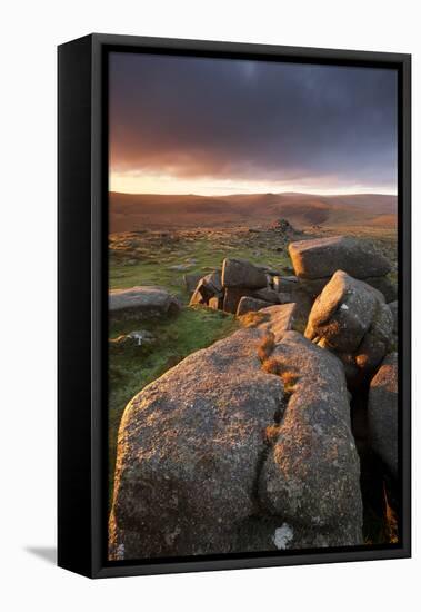 Moorland View at Belstone with Granite Outcrops, Near Okehampton, Dartmoor Np, Devon, England, UK-Ross Hoddinott-Framed Stretched Canvas