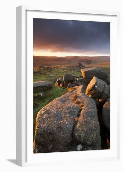 Moorland View at Belstone with Granite Outcrops, Near Okehampton, Dartmoor Np, Devon, England, UK-Ross Hoddinott-Framed Premium Photographic Print