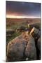 Moorland View at Belstone with Granite Outcrops, Near Okehampton, Dartmoor Np, Devon, England, UK-Ross Hoddinott-Mounted Premium Photographic Print