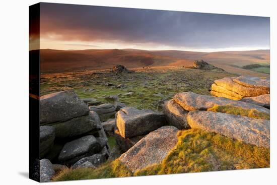 Moorland View at Belstone with Granite Outcrops, Near Okehampton, Dartmoor Np, Devon, England, UK-Ross Hoddinott-Stretched Canvas