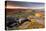 Moorland View at Belstone with Granite Outcrops, Near Okehampton, Dartmoor Np, Devon, England, UK-Ross Hoddinott-Stretched Canvas