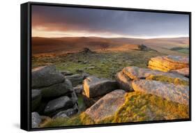 Moorland View at Belstone with Granite Outcrops, Near Okehampton, Dartmoor Np, Devon, England, UK-Ross Hoddinott-Framed Stretched Canvas