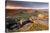 Moorland View at Belstone with Granite Outcrops, Near Okehampton, Dartmoor Np, Devon, England, UK-Ross Hoddinott-Stretched Canvas