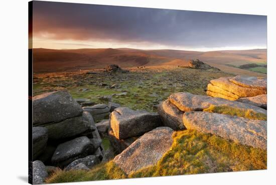 Moorland View at Belstone with Granite Outcrops, Near Okehampton, Dartmoor Np, Devon, England, UK-Ross Hoddinott-Stretched Canvas