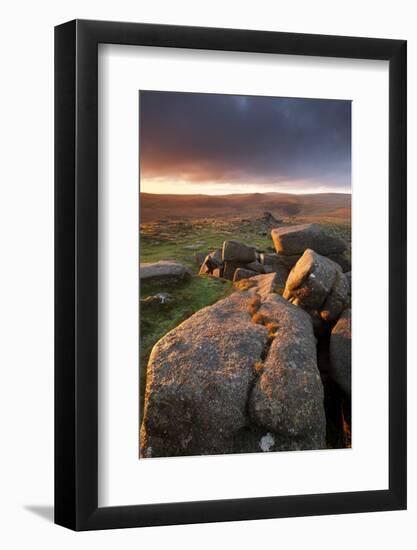 Moorland View at Belstone with Granite Outcrops, Near Okehampton, Dartmoor Np, Devon, England, UK-Ross Hoddinott-Framed Photographic Print