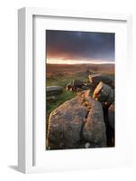 Moorland View at Belstone with Granite Outcrops, Near Okehampton, Dartmoor Np, Devon, England, UK-Ross Hoddinott-Framed Photographic Print