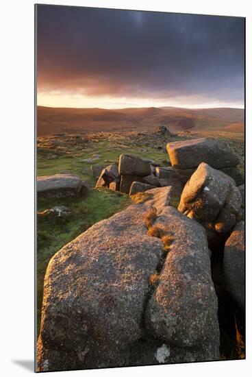 Moorland View at Belstone with Granite Outcrops, Near Okehampton, Dartmoor Np, Devon, England, UK-Ross Hoddinott-Mounted Photographic Print