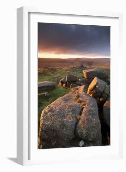 Moorland View at Belstone with Granite Outcrops, Near Okehampton, Dartmoor Np, Devon, England, UK-Ross Hoddinott-Framed Photographic Print