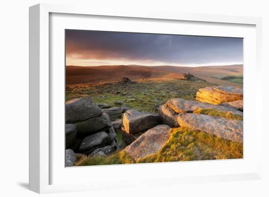 Moorland View at Belstone with Granite Outcrops, Near Okehampton, Dartmoor Np, Devon, England, UK-Ross Hoddinott-Framed Photographic Print