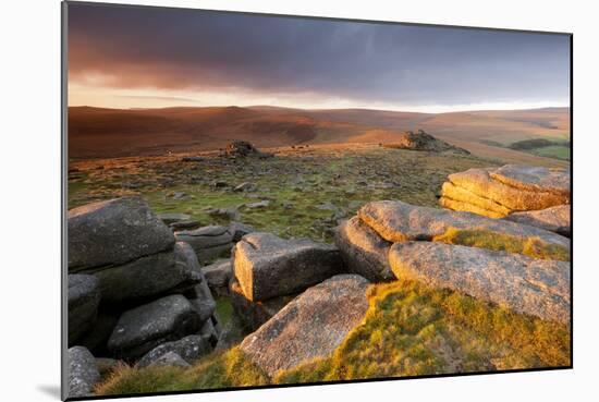 Moorland View at Belstone with Granite Outcrops, Near Okehampton, Dartmoor Np, Devon, England, UK-Ross Hoddinott-Mounted Photographic Print