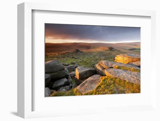 Moorland View at Belstone with Granite Outcrops, Near Okehampton, Dartmoor Np, Devon, England, UK-Ross Hoddinott-Framed Photographic Print