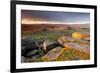 Moorland View at Belstone with Granite Outcrops, Near Okehampton, Dartmoor Np, Devon, England, UK-Ross Hoddinott-Framed Photographic Print