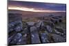 Moorland View at Belstone with Granite Outcrops, Near Okehampton, Dartmoor Np, Devon, England, UK-Ross Hoddinott-Mounted Photographic Print