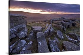 Moorland View at Belstone with Granite Outcrops, Near Okehampton, Dartmoor Np, Devon, England, UK-Ross Hoddinott-Stretched Canvas