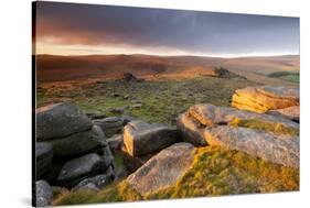 Moorland View at Belstone with Granite Outcrops, Near Okehampton, Dartmoor Np, Devon, England, UK-Ross Hoddinott-Stretched Canvas