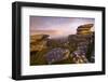 Moorland view from Littaford Tor, Dartmoor, Devon, England-Ross Hoddinott / 2020VISION-Framed Photographic Print