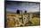 Moorland View Of Nun'S Cross Farm, Dry Stone Wall And Gate, Dartmoor, Devon, UK. February 2009-Ross Hoddinott-Framed Photographic Print