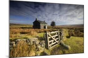 Moorland View Of Nun'S Cross Farm, Dry Stone Wall And Gate, Dartmoor, Devon, UK. February 2009-Ross Hoddinott-Mounted Photographic Print