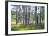 Moorlands, Raised Bog, Gnosjö-Sonja Jordan-Framed Photographic Print