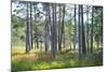 Moorlands, Raised Bog, Gnosjö-Sonja Jordan-Mounted Photographic Print