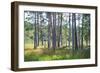 Moorlands, Raised Bog, Gnosjö-Sonja Jordan-Framed Photographic Print