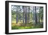 Moorlands, Raised Bog, Gnosjö-Sonja Jordan-Framed Photographic Print