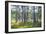 Moorlands, Raised Bog, Gnosjö-Sonja Jordan-Framed Photographic Print