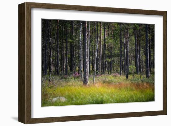 Moorlands, Raised Bog, Gnosjö-Sonja Jordan-Framed Photographic Print