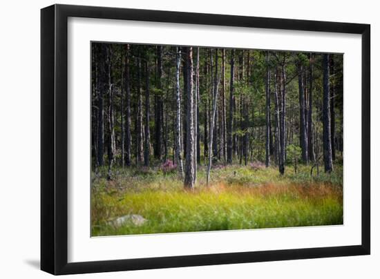 Moorlands, Raised Bog, Gnosjö-Sonja Jordan-Framed Photographic Print