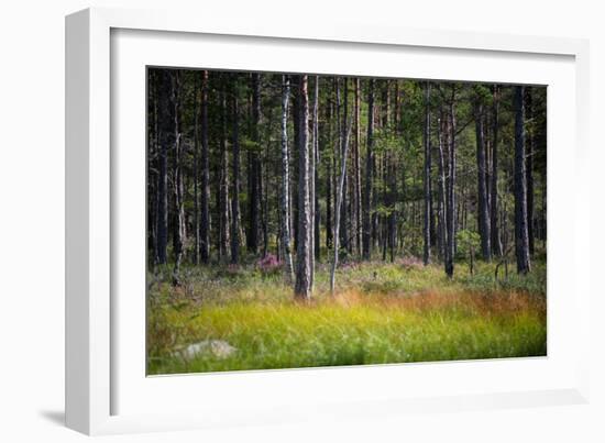 Moorlands, Raised Bog, Gnosjö-Sonja Jordan-Framed Photographic Print