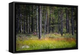 Moorlands, Raised Bog, Gnosjö-Sonja Jordan-Framed Stretched Canvas