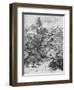 'Moors and Spaniards Mixed Inextricably', 1902-Paul Hardy-Framed Giclee Print