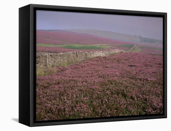 Moors Near Grinton, Yorkshire, England, United Kingdom-Michael Busselle-Framed Stretched Canvas