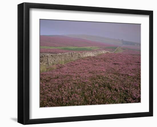 Moors Near Grinton, Yorkshire, England, United Kingdom-Michael Busselle-Framed Photographic Print