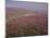 Moors Near Grinton, Yorkshire, England, United Kingdom-Michael Busselle-Mounted Photographic Print