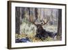 Moose (Alces Alces), Gros Ventre Valley, Grand Tetons National Park, Wyoming, U.S.A.-Gary Cook-Framed Photographic Print