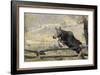Moose (Alces Alces) Jumping a Fence, Grand Teton National Park, Wyoming, USA, October-George Sanker-Framed Photographic Print