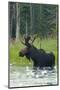 Moose Alert-Orah Moore-Mounted Art Print