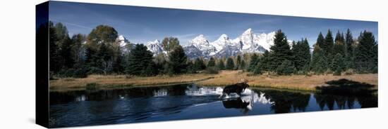 Moose and Beaver Pond Grand Teton National Park WY USA-null-Stretched Canvas