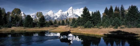 Premium Photographic Print, , large